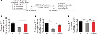 Presymptomatic Treatment With Andrographolide Improves Brain Metabolic Markers and Cognitive Behavior in a Model of Early-Onset Alzheimer’s Disease